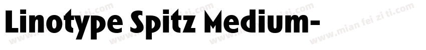 Linotype Spitz Medium字体转换
